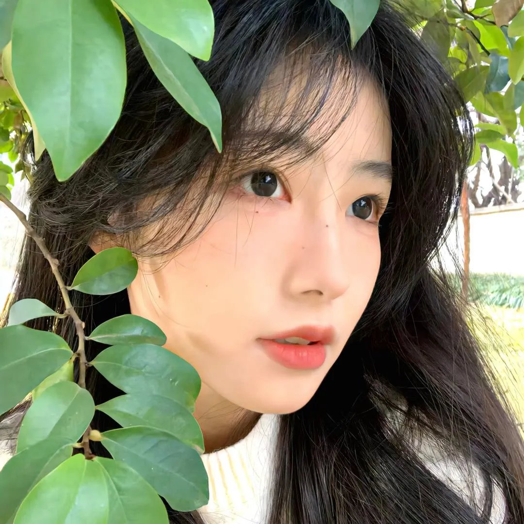 盗尸杀人狂